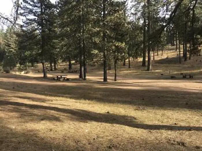 Pine Mountain Campground in California