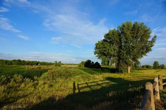 Cherry Creek State Park campground