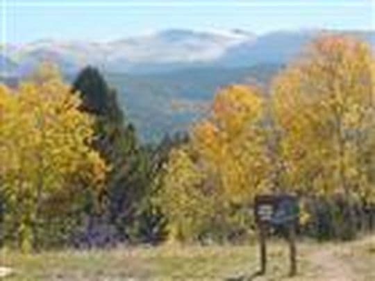Mueller State Park campground