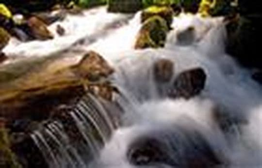 Paonia State Park campground