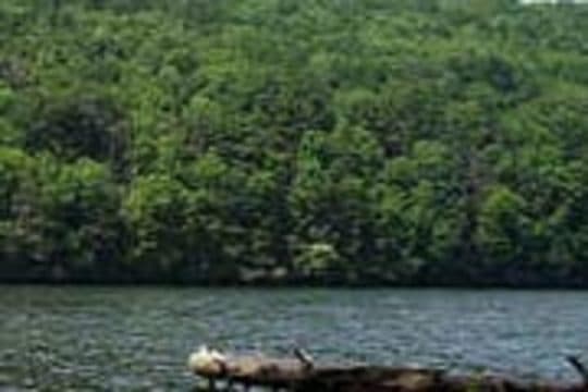 Kettletown State Park campground