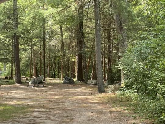 Mount Misery Campground campground
