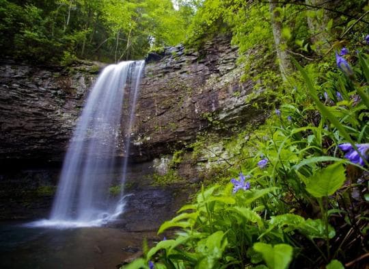 Cloudland Canyon State Park campground