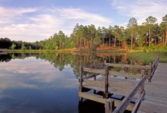 General Coffee State Park campground