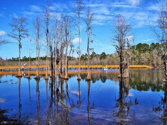 Laura S Walker State Park campground