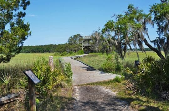 Skidaway Island State Park campground