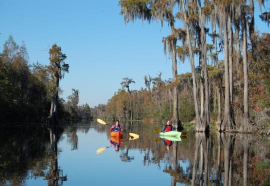 Stephen C Foster State Park campground