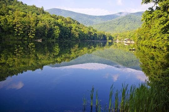 Vogel State Park campground