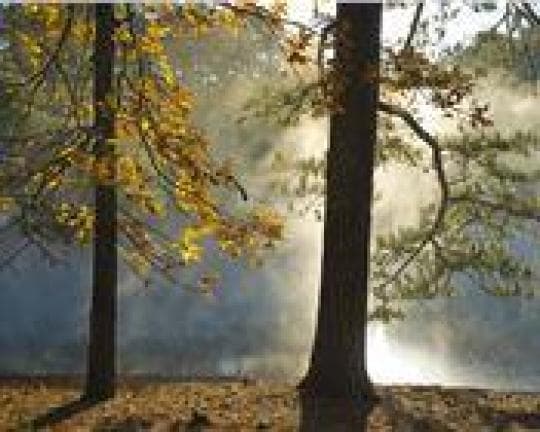 Red Top Mountain State Park campground
