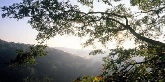 Shades State Park campground