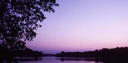 Potato Creek State Park campground