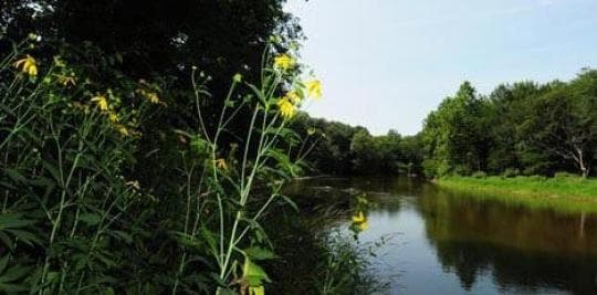 Tippecanoe River State Park campground