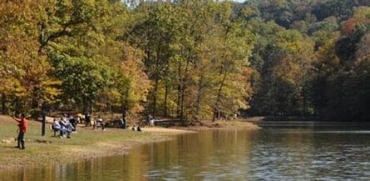 Brown County State Park campground