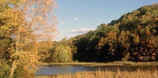 Versailles State Park campground