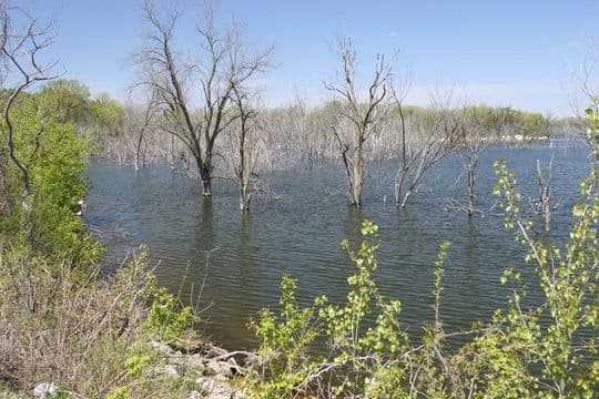 Brushy Creek State Recreation Area campground