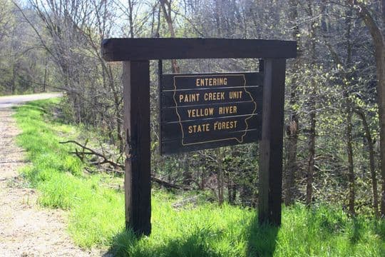 Yellow River State Forest campground
