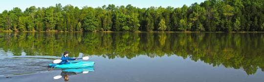 KINCAID LAKE STATE PARK campground