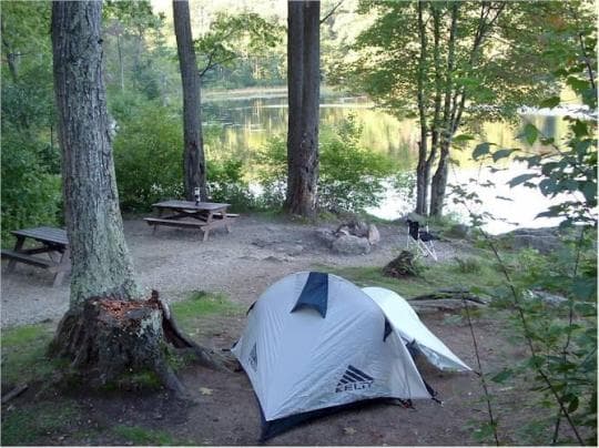 Beartown State Forest campground