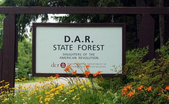 DAR State Forest campground