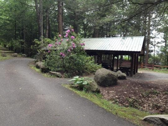 Erving State Forest campground