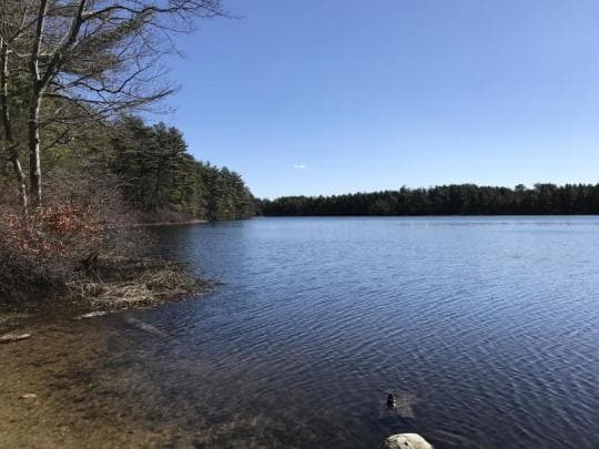 Massasoit State Park campground