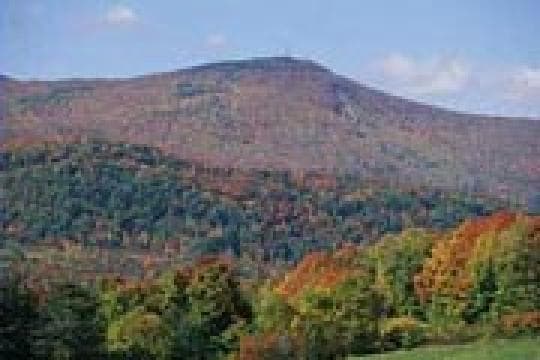 Mount Greylock State Reservation campground