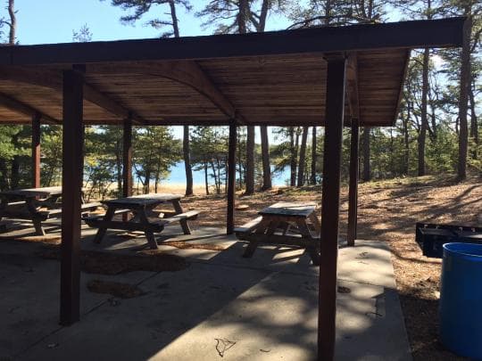 Myles Standish State Forest campground