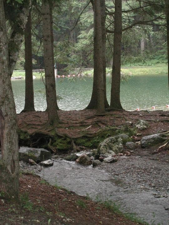 Pittsfield State Forest campground