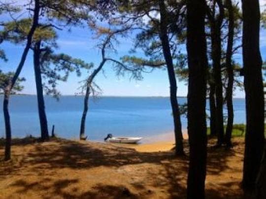 Washburn Island - Waquoit Bay Reserve campground