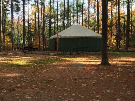 Willard Brook State Forest campground