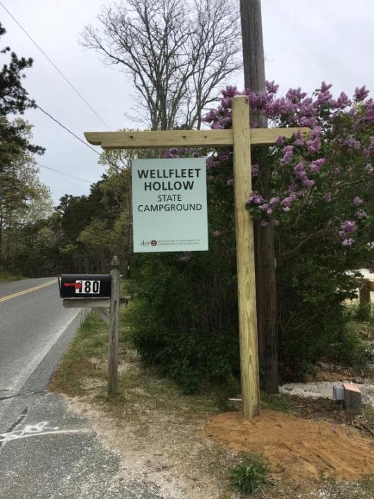 Wellfleet Hollow State Campground campground