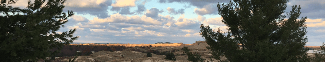 Ludington State Park campground