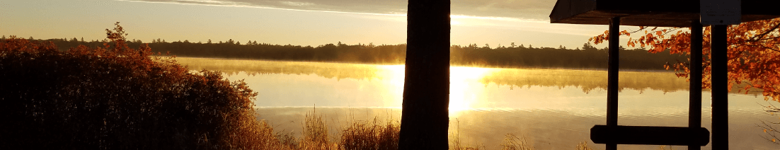 South Higgins Lake State Park campground
