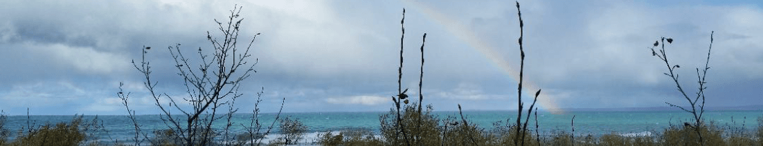 Leelanau State Park campground