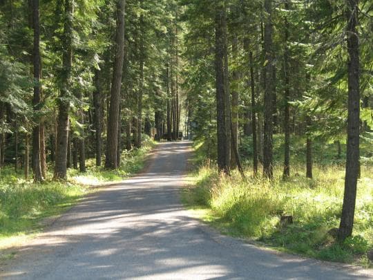Thompson Falls State Park campground