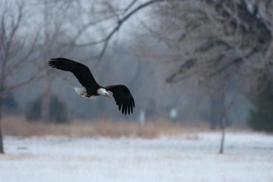 Lake Ogallala SRA campground