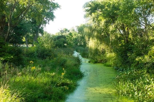 Victoria Springs SRA campground