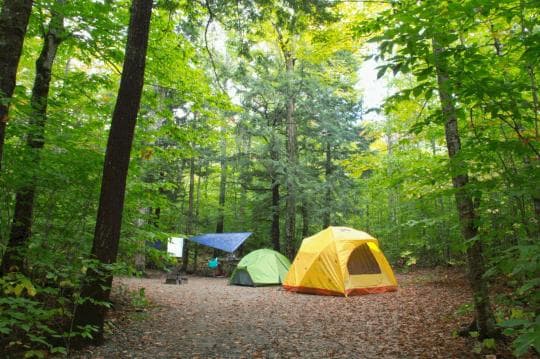 Dry River Campground campground