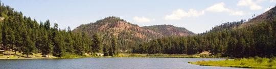 Fenton Lake State Park campground