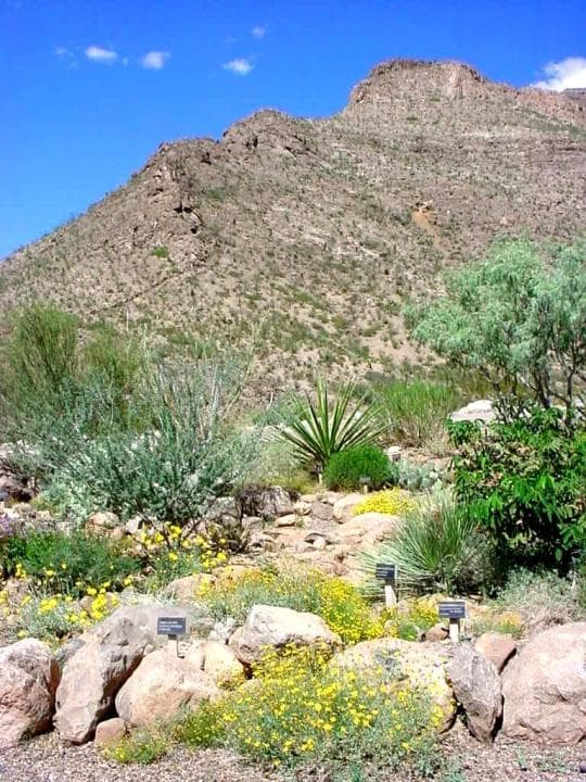 Oliver Lee Memorial campground