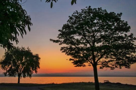 CAYUGA LAKE STATE PARK campground