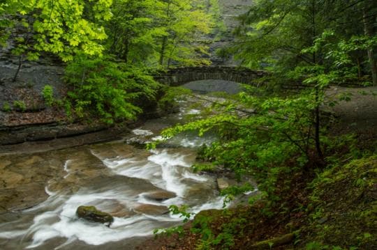 STONY BROOK STATE PARK campground