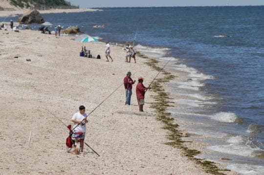 WILDWOOD STATE PARK campground