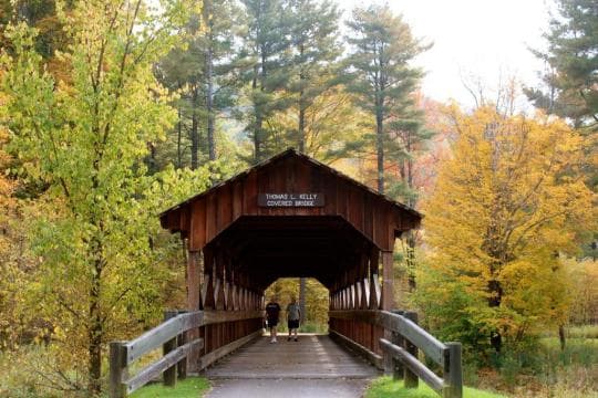 ALLEGANY STATE PARK campground