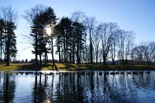MILLS-NORRIE STATE PARK campground