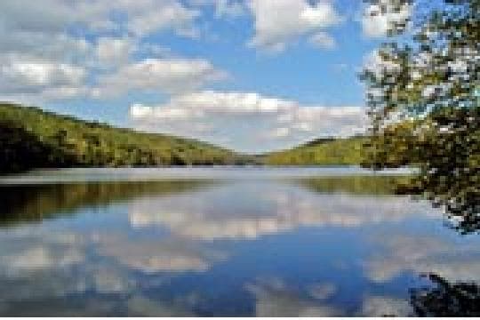 CLARENCE FAHNESTOCK STATE PARK campground
