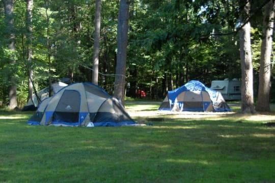 CHENANGO VALLEY STATE PARK campground