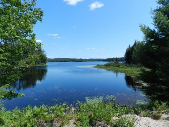 ROLLINS POND CAMPGROUND campground