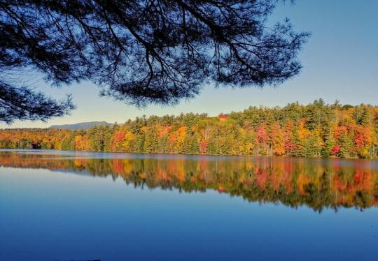 LINCOLN POND CAMPGROUND campground