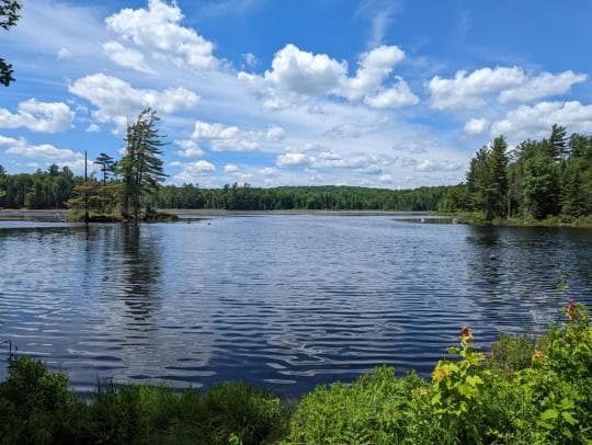 CRANBERRY LAKE CAMPGROUND campground